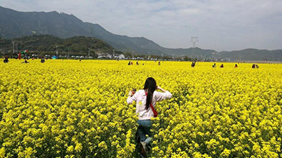 推動(dòng)田園綜合體高質(zhì)量發(fā)展的幾點(diǎn)建議