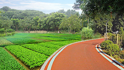 美環(huán)境，惠民生，繪就美麗圩鎮(zhèn)實景圖